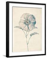 Ethereal Floral II-Collezione Botanica-Framed Giclee Print