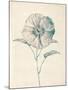 Ethereal Floral II-Collezione Botanica-Mounted Giclee Print