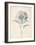 Ethereal Floral II-Collezione Botanica-Framed Giclee Print