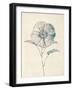 Ethereal Floral II-Collezione Botanica-Framed Giclee Print