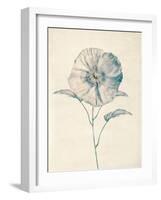 Ethereal Floral II-Collezione Botanica-Framed Giclee Print