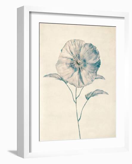 Ethereal Floral II-Collezione Botanica-Framed Giclee Print