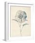 Ethereal Floral II-Collezione Botanica-Framed Giclee Print