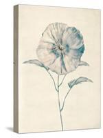 Ethereal Floral II-Collezione Botanica-Stretched Canvas