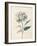 Ethereal Floral III-Collezione Botanica-Framed Giclee Print