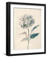 Ethereal Floral III-Collezione Botanica-Framed Giclee Print