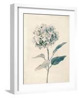 Ethereal Floral III-Collezione Botanica-Framed Giclee Print