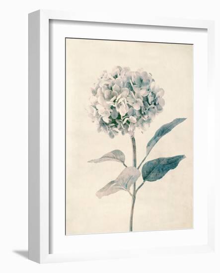 Ethereal Floral III-Collezione Botanica-Framed Giclee Print