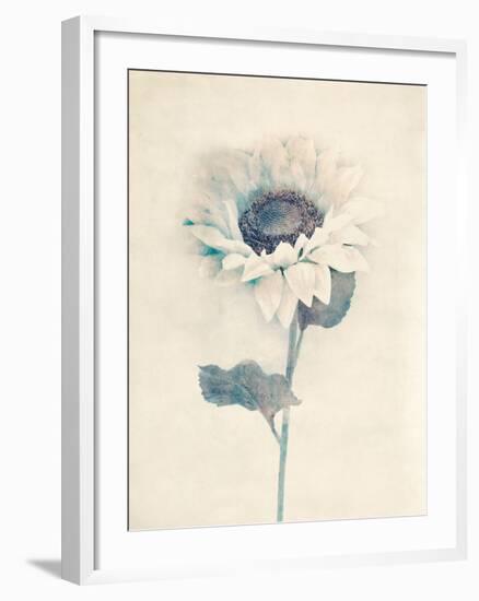 Ethereal Floral IV-Collezione Botanica-Framed Giclee Print