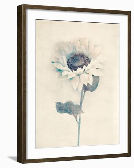 Ethereal Floral IV-Collezione Botanica-Framed Giclee Print