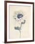 Ethereal Floral IV-Collezione Botanica-Framed Giclee Print