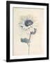 Ethereal Floral IV-Collezione Botanica-Framed Giclee Print