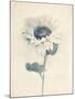 Ethereal Floral IV-Collezione Botanica-Mounted Giclee Print