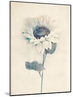 Ethereal Floral IV-Collezione Botanica-Mounted Giclee Print