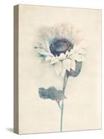 Ethereal Floral IV-Collezione Botanica-Stretched Canvas