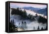 Ethereal Fog and Mount Tamalpais Marin San Francisco-Vincent James-Framed Stretched Canvas