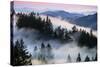 Ethereal Fog and Mount Tamalpais Marin San Francisco-Vincent James-Stretched Canvas