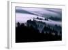 Ethereal Fog Flow Through The Trees, California Mount Tamalpais-Vincent James-Framed Photographic Print