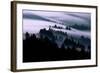 Ethereal Fog Flow Through The Trees, California Mount Tamalpais-Vincent James-Framed Photographic Print