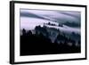 Ethereal Fog Flow Through The Trees, California Mount Tamalpais-Vincent James-Framed Photographic Print