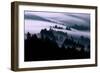 Ethereal Fog Flow Through The Trees, California Mount Tamalpais-Vincent James-Framed Photographic Print