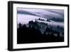 Ethereal Fog Flow Through The Trees, California Mount Tamalpais-Vincent James-Framed Photographic Print