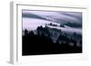 Ethereal Fog Flow Through The Trees, California Mount Tamalpais-Vincent James-Framed Photographic Print