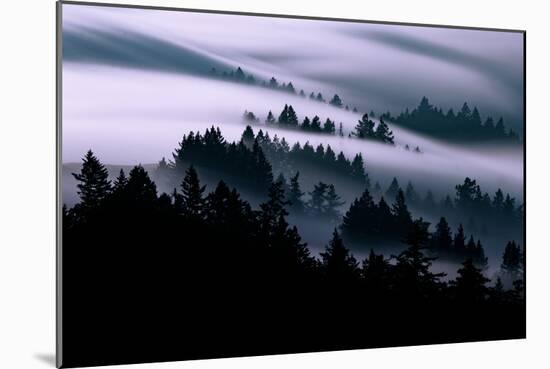 Ethereal Fog Flow Through The Trees, California Mount Tamalpais-Vincent James-Mounted Photographic Print