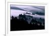 Ethereal Fog Flow Through The Trees, California Mount Tamalpais-Vincent James-Framed Photographic Print