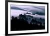 Ethereal Fog Flow Through The Trees, California Mount Tamalpais-Vincent James-Framed Photographic Print