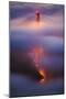 Ethereal Gold Detail in Fog at San Francisco, Golden Gate Bridge-Vincent James-Mounted Premium Photographic Print