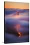 Ethereal Gold Sunrise in Fog at San Francisco, Golden Gate Bridge-Vincent James-Stretched Canvas