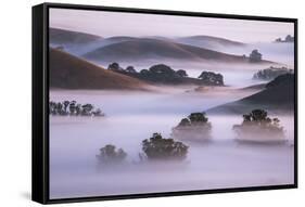 Ethereal Hills and Fog, Misty Otherworldy View at Petaluma Sonoma County-Vincent James-Framed Stretched Canvas