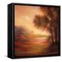 Ethereal I-Olivia Shaw-Framed Stretched Canvas