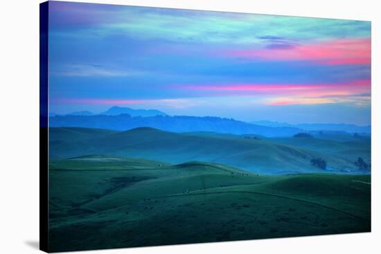 Ethereal Layers, Petaluma Sonoma California-Vincent James-Stretched Canvas