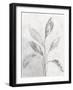 Ethereal Leaves I-Sarah Adams-Framed Art Print