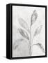Ethereal Leaves I-Sarah Adams-Framed Stretched Canvas