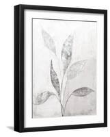 Ethereal Leaves II-Sarah Adams-Framed Art Print