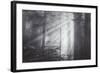 Ethereal Light and Coast Redwoods, California-Vincent James-Framed Photographic Print