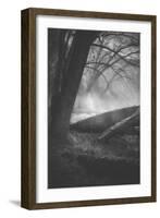 Ethereal Light, Trees and Mist Yosemite-Vincent James-Framed Photographic Print