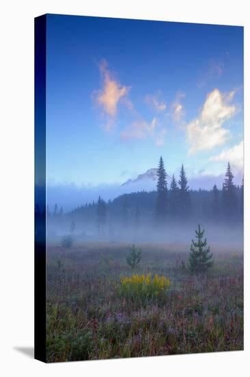Ethereal Mist and Meadow, Mount Hood, Oregon-Vincent James-Stretched Canvas