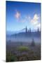 Ethereal Mist and Meadow, Mount Hood, Oregon-Vincent James-Mounted Photographic Print