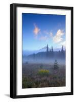 Ethereal Mist and Meadow, Mount Hood, Oregon-Vincent James-Framed Photographic Print