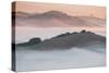 Ethereal Morning, Petaluma Marin County, Bay Area-Vincent James-Stretched Canvas