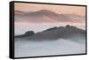 Ethereal Morning, Petaluma Marin County, Bay Area-Vincent James-Framed Stretched Canvas