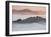 Ethereal Morning, Petaluma Marin County, Bay Area-Vincent James-Framed Premium Photographic Print