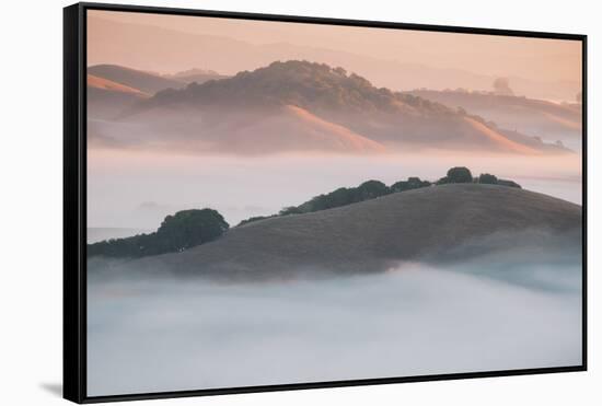 Ethereal Morning, Petaluma Marin County, Bay Area-Vincent James-Framed Stretched Canvas