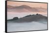 Ethereal Morning, Petaluma Marin County, Bay Area-Vincent James-Framed Stretched Canvas