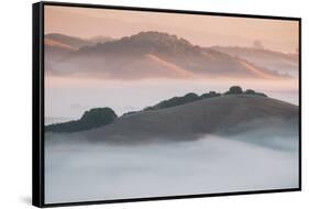 Ethereal Morning, Petaluma Marin County, Bay Area-Vincent James-Framed Stretched Canvas