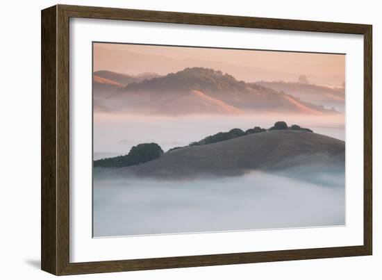 Ethereal Morning, Petaluma Marin County, Bay Area-Vincent James-Framed Photographic Print